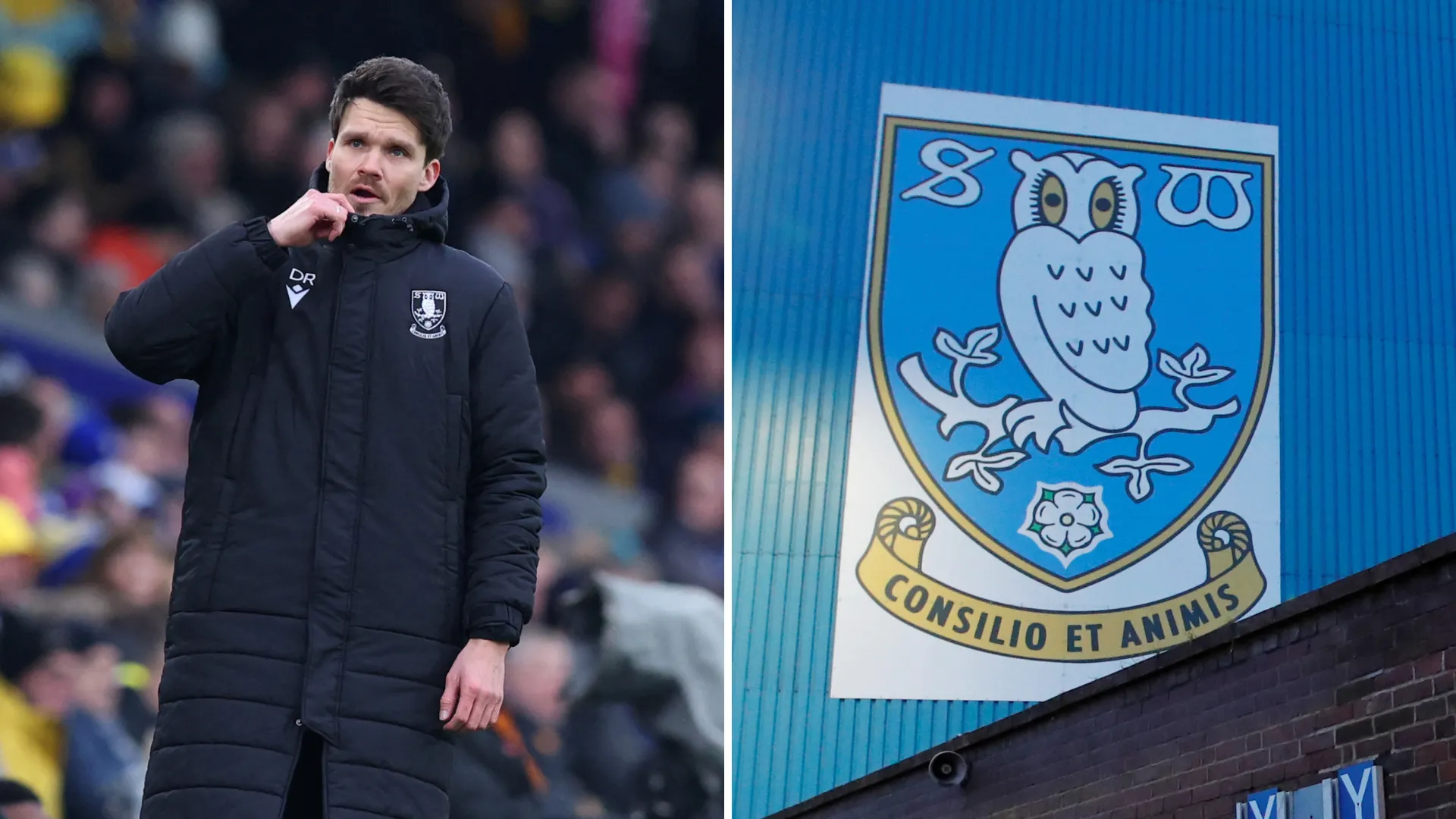 Danny Rohl HLV Sheffield Wednesday đưa ra thông điệp về tương lai