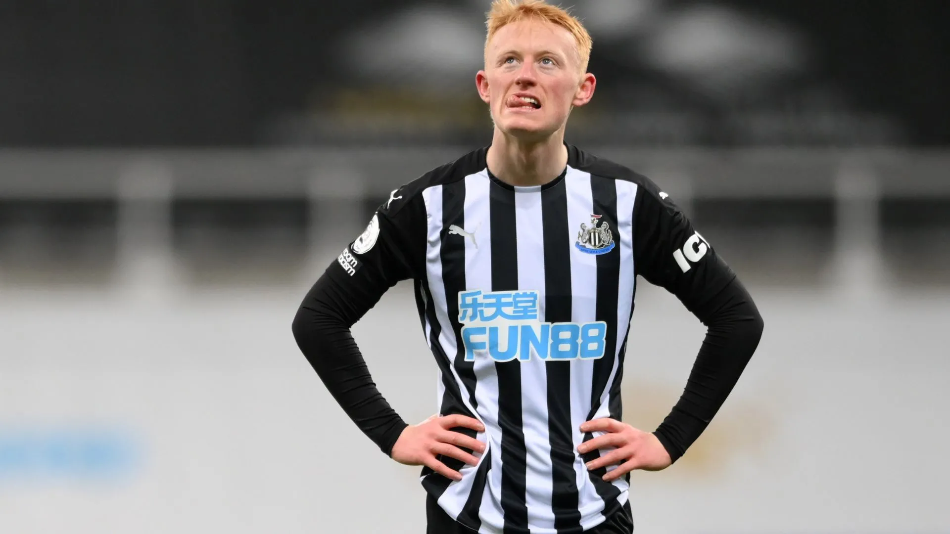 Sean Longstaff thi đấu năng nổ ở tuyến giữa, thể hiện kinh nghiệm Premier League