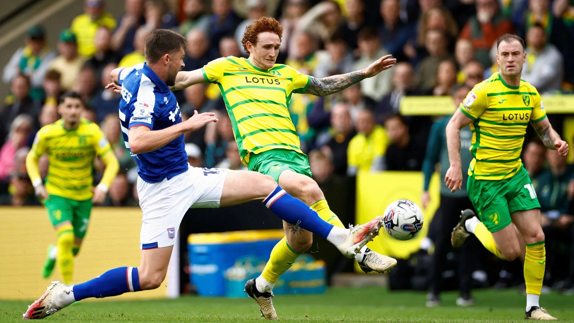 Josh Sargent trong màu áo Norwich City trên sân đấu