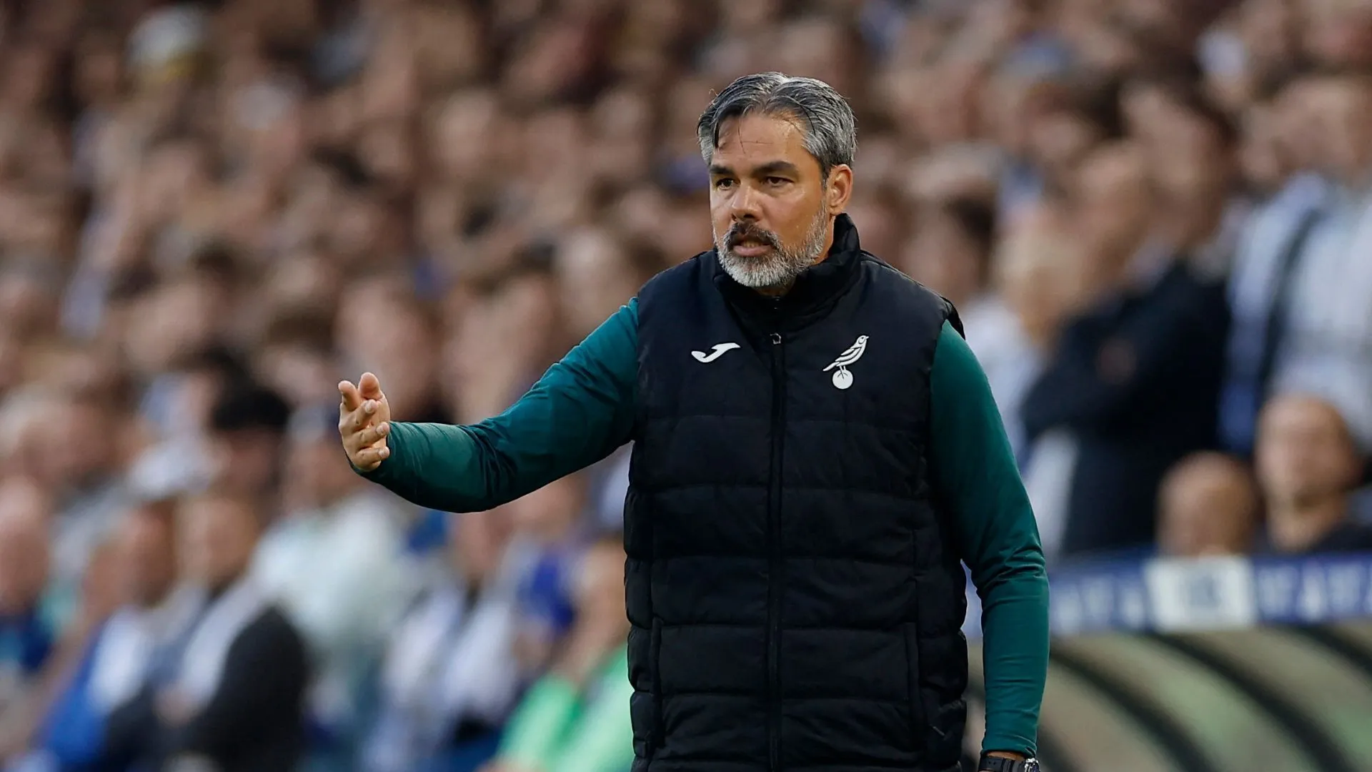 David Wagner bị sa thải sau thất bại ở play-off