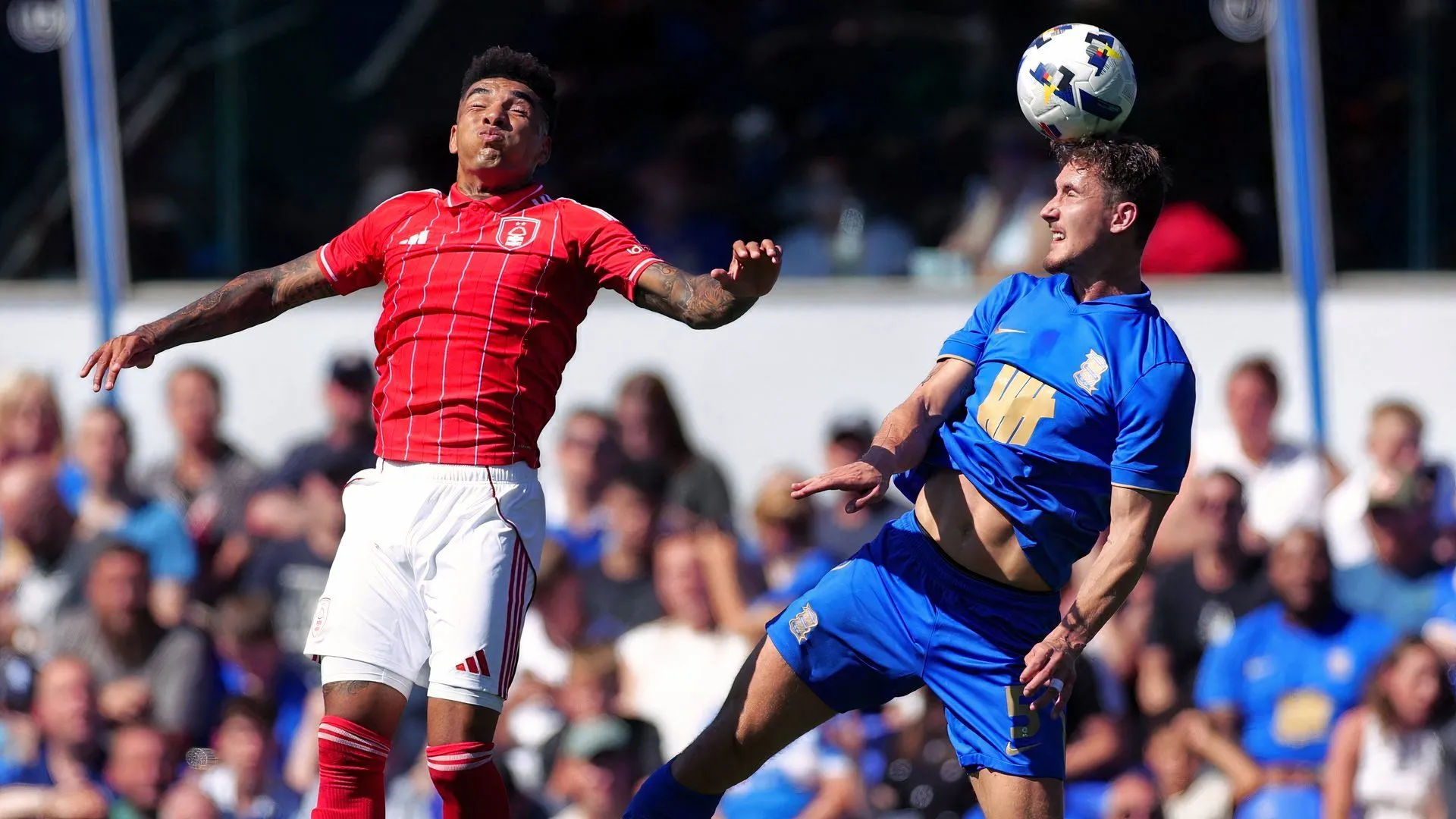 Phil Neumann ăn mừng bàn thắng cho Birmingham City, thể hiện sự hòa nhập nhanh và ảnh hưởng lên hàng thủ đội bóng
